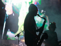 Pablo Coello, a member of the Los Estramboticos band, performs during the ''Hasta Siempre Presidente Fest'' at the Monumento to the Revoluti...