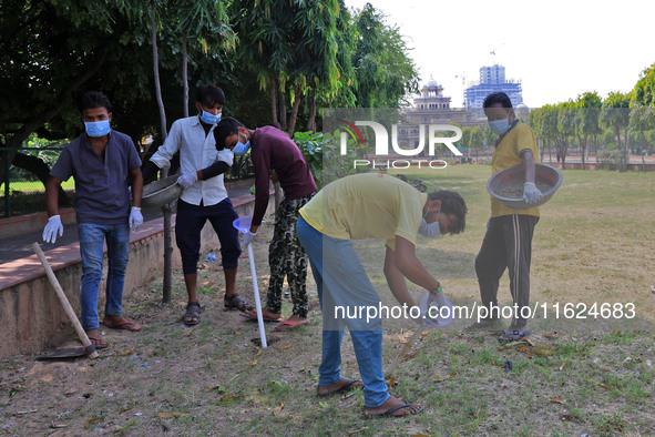 Workers use pesticides at a burrow to get rid of rats during a two-day campaign by Jaipur Development Authority to wipe out rodents at Alber...