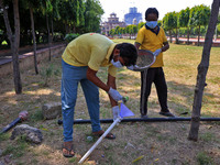 Workers use pesticides at a burrow to get rid of rats during a two-day campaign by Jaipur Development Authority to wipe out rodents at Alber...