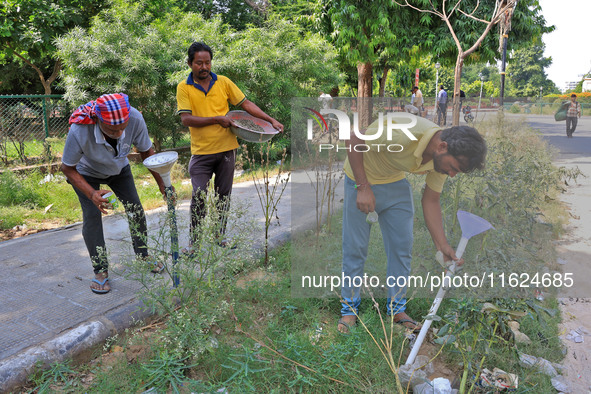 Workers use pesticides at a burrow to get rid of rats during a two-day campaign by Jaipur Development Authority to wipe out rodents at Alber...