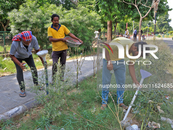 Workers use pesticides at a burrow to get rid of rats during a two-day campaign by Jaipur Development Authority to wipe out rodents at Alber...