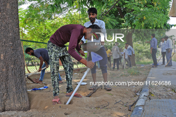 Workers use pesticides at a burrow to get rid of rats during a two-day campaign by Jaipur Development Authority to wipe out rodents at Alber...