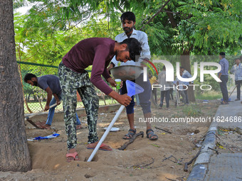 Workers use pesticides at a burrow to get rid of rats during a two-day campaign by Jaipur Development Authority to wipe out rodents at Alber...