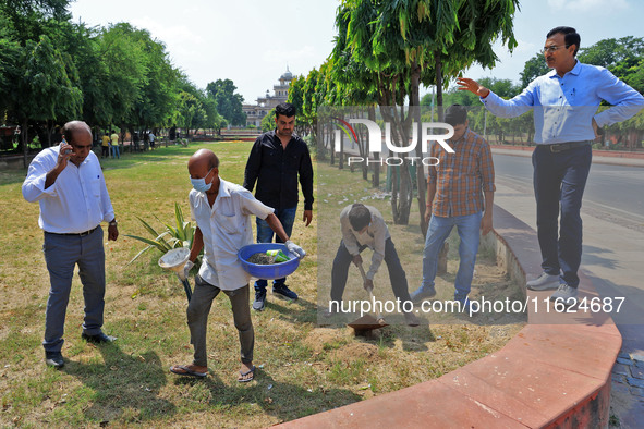 Workers use pesticides at a burrow to get rid of rats during a two-day campaign by Jaipur Development Authority to wipe out rodents at Alber...