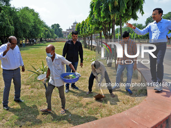 Workers use pesticides at a burrow to get rid of rats during a two-day campaign by Jaipur Development Authority to wipe out rodents at Alber...