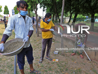 Workers use pesticides at a burrow to get rid of rats during a two-day campaign by Jaipur Development Authority to wipe out rodents at Alber...