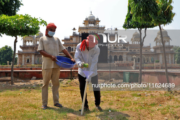 Workers use pesticides at a burrow to get rid of rats during a two-day campaign by Jaipur Development Authority to wipe out rodents at Alber...