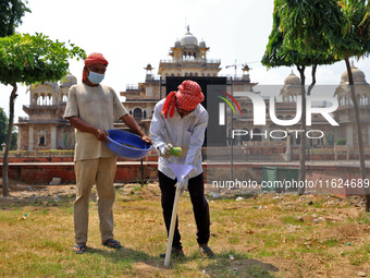 Workers use pesticides at a burrow to get rid of rats during a two-day campaign by Jaipur Development Authority to wipe out rodents at Alber...