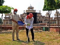 Workers use pesticides at a burrow to get rid of rats during a two-day campaign by Jaipur Development Authority to wipe out rodents at Alber...