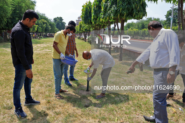 Workers use pesticides at a burrow to get rid of rats during a two-day campaign by Jaipur Development Authority to wipe out rodents at Alber...