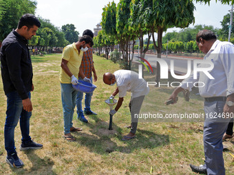 Workers use pesticides at a burrow to get rid of rats during a two-day campaign by Jaipur Development Authority to wipe out rodents at Alber...