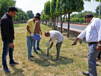 Workers use pesticides at a burrow to get rid of rats during a two-day campaign by Jaipur Development Authority to wipe out rodents at Alber...