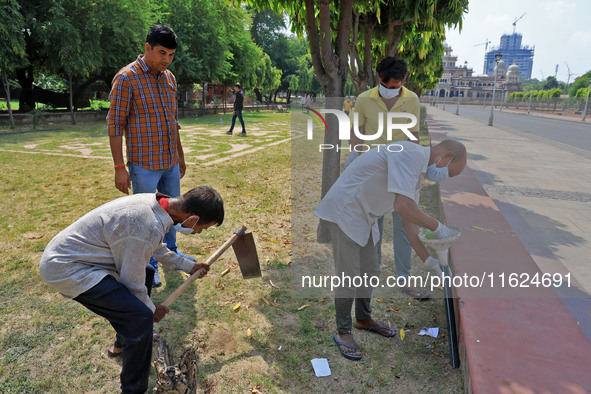 Workers use pesticides at a burrow to get rid of rats during a two-day campaign by Jaipur Development Authority to wipe out rodents at Alber...