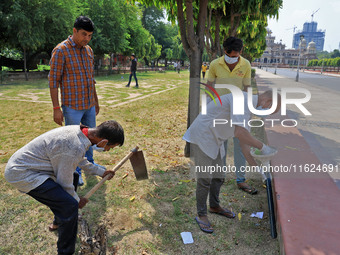 Workers use pesticides at a burrow to get rid of rats during a two-day campaign by Jaipur Development Authority to wipe out rodents at Alber...