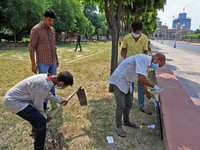 Workers use pesticides at a burrow to get rid of rats during a two-day campaign by Jaipur Development Authority to wipe out rodents at Alber...