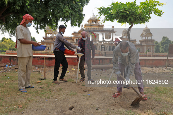 Workers use pesticides at a burrow to get rid of rats during a two-day campaign by Jaipur Development Authority to wipe out rodents at Alber...