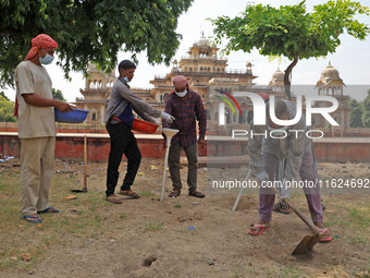 Workers use pesticides at a burrow to get rid of rats during a two-day campaign by Jaipur Development Authority to wipe out rodents at Alber...