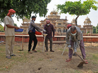 Workers use pesticides at a burrow to get rid of rats during a two-day campaign by Jaipur Development Authority to wipe out rodents at Alber...