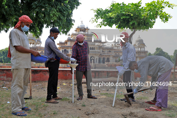 Workers use pesticides at a burrow to get rid of rats during a two-day campaign by Jaipur Development Authority to wipe out rodents at Alber...