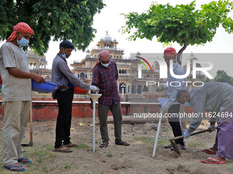 Workers use pesticides at a burrow to get rid of rats during a two-day campaign by Jaipur Development Authority to wipe out rodents at Alber...