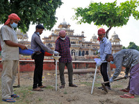 Workers use pesticides at a burrow to get rid of rats during a two-day campaign by Jaipur Development Authority to wipe out rodents at Alber...