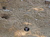 A rat is seen during a two-day campaign by the Jaipur Development Authority as they use pesticides at burrows to get rid of rodents at Alber...