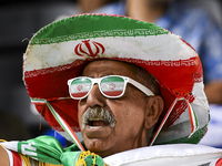 A fan of Esteghlal FC cheers for their team during the AFC Champions League elite west football match between Qatar's Al Sadd SC and Iran's...