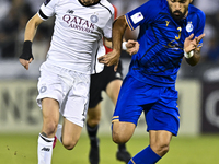 Rafael Sebastian Mujica Garcia of Al Sadd SC battles for the ball with Saman Fallah of Esteghlal FC during the AFC Champions League elite we...