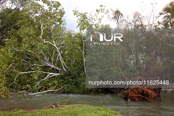 A tree lays in the South Fork Holston River in Chilhowie, Virginia on September 30, 2024, after Hurricane Helene caused widespread damage in...