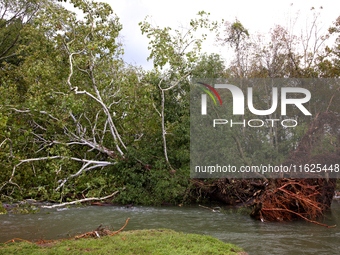 A tree lays in the South Fork Holston River in Chilhowie, Virginia on September 30, 2024, after Hurricane Helene caused widespread damage in...