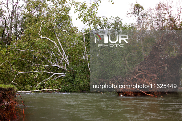 A tree lays in the South Fork Holston River in Chilhowie, Virginia on September 30, 2024, after Hurricane Helene caused widespread damage in...