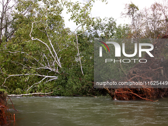 A tree lays in the South Fork Holston River in Chilhowie, Virginia on September 30, 2024, after Hurricane Helene caused widespread damage in...