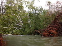 A tree lays in the South Fork Holston River in Chilhowie, Virginia on September 30, 2024, after Hurricane Helene caused widespread damage in...