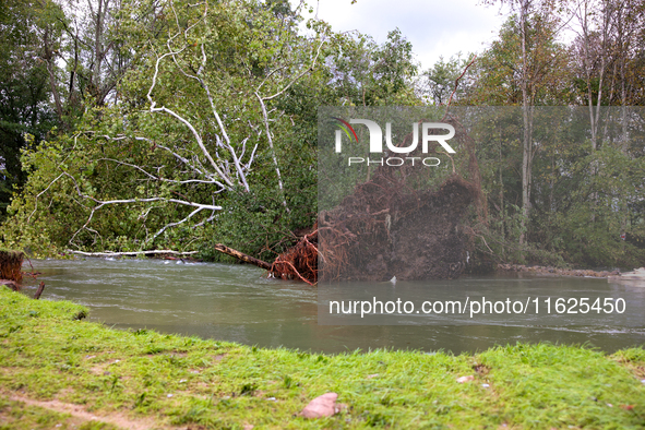 A tree lays in the South Fork Holston River in Chilhowie, Virginia on September 30, 2024, after Hurricane Helene caused widespread damage in...