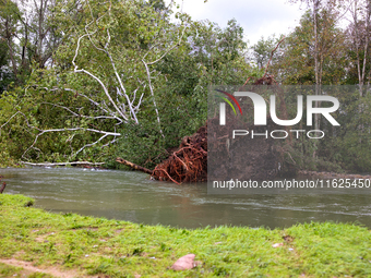 A tree lays in the South Fork Holston River in Chilhowie, Virginia on September 30, 2024, after Hurricane Helene caused widespread damage in...