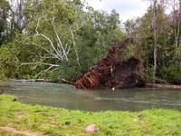 A tree lays in the South Fork Holston River in Chilhowie, Virginia on September 30, 2024, after Hurricane Helene caused widespread damage in...