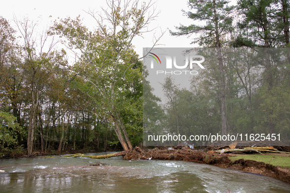 A tree lays in the South Fork Holston River in Chilhowie, Virginia on September 30, 2024, after Hurricane Helene caused widespread damage in...