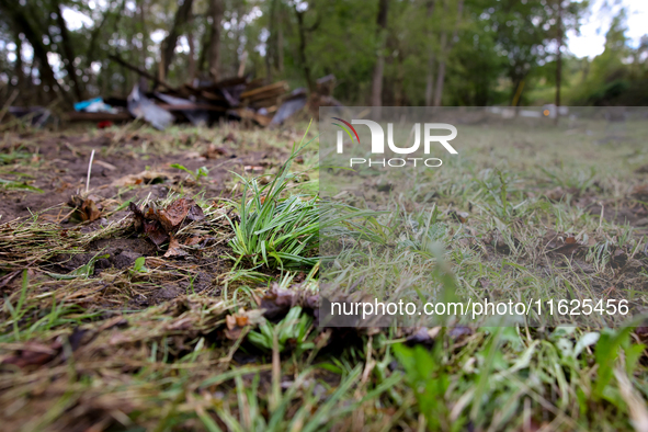 Grass is seen flattened in Chilhowie, Virginia on September 30, 2024, after Hurricane Helene caused severe flooding in the area several days...