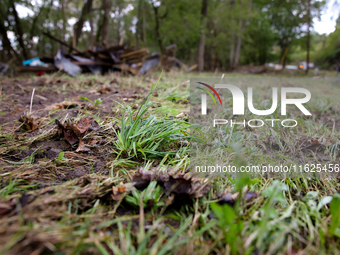 Grass is seen flattened in Chilhowie, Virginia on September 30, 2024, after Hurricane Helene caused severe flooding in the area several days...