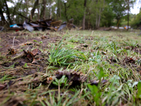 Grass is seen flattened in Chilhowie, Virginia on September 30, 2024, after Hurricane Helene caused severe flooding in the area several days...