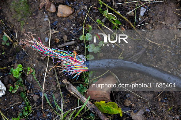 A telecommunications cable lays severed on the ground in Chilhowie, Virginia on September 30, 2024, after Hurricane Helene caused widespread...