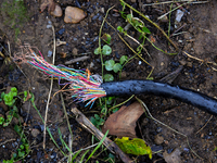 A telecommunications cable lays severed on the ground in Chilhowie, Virginia on September 30, 2024, after Hurricane Helene caused widespread...