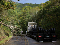 A truck driver works to remove entangled wires after passing through a damaged roadway in Whitetop, Virginia on September 30, 2024 after Hur...