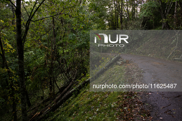 Damage from Hurricane Helene is seen in Whitetop, Virginia on September 30, 2024. 