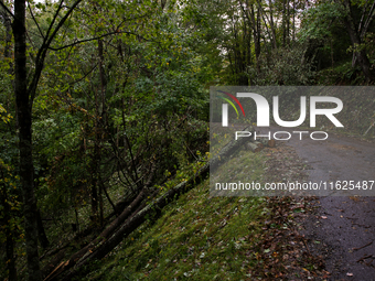 Damage from Hurricane Helene is seen in Whitetop, Virginia on September 30, 2024. (