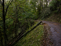 Damage from Hurricane Helene is seen in Whitetop, Virginia on September 30, 2024. (