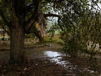 Damage from Hurricane Helene is seen in Lansing, North Carolina on September 30, 2024. (