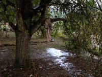 Damage from Hurricane Helene is seen in Lansing, North Carolina on September 30, 2024. (