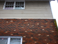 Water damage is seen on the brick facade of the Lansing Volunteer Fire Department in Lansing, North Carolina on September 30, 2024 after Hur...