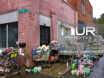 Shopping carts hold damaged products outside of CJ's Market in Lansing, North Carolina on September 30, 2024 after Hurricane Helene destroye...